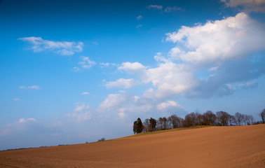 Obraz premium Plowed field in spring time with blue sky