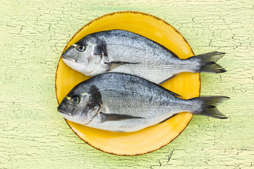 Two raw dorado fish on yellow plate. Top view, copy space.