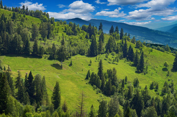 mountains in Carpathians