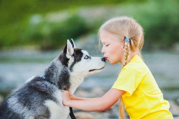 Naklejka na ściany i meble Little girl kissing puppy Huskies