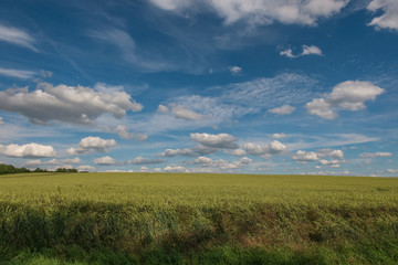 Obraz premium Landschaft im Sommer