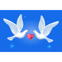 Soaring pigeons pair