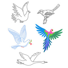 Birds set