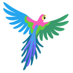 Macaw parrot