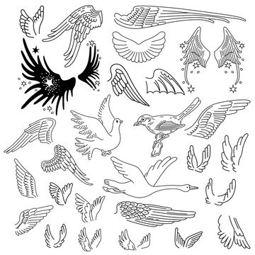 Birds & wings set