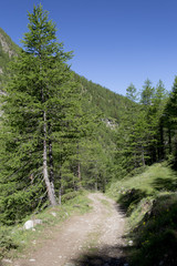 Mountain path