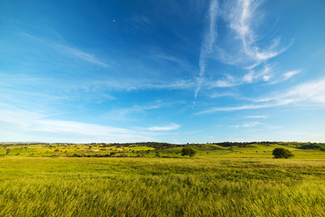 Fototapeta na wymiar cloudy sky over a green meadow in sardinia