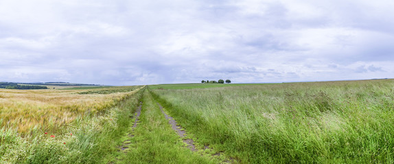 Wide landscape with some trees in the Eifel