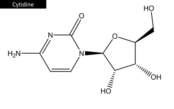 Molecular structure of Cytidine triphosphate
