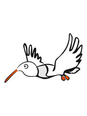 Bird flying funny
