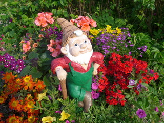 Garden Gnome with shovel in a flower bed