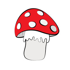 Mushroom isolated on white background