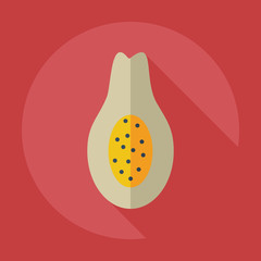 Flat modern design with shadow icons avocado