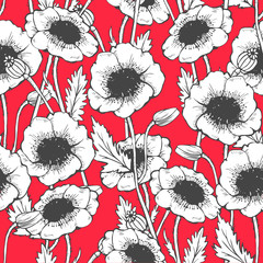 Poppy seamless pattern. Hand drawn vector illustration