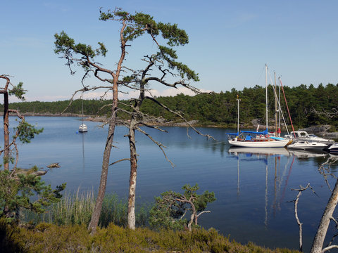 Traumbucht auf Djurö, einer Insel im Vänernsee