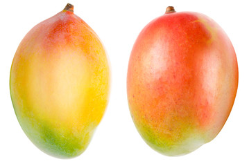 Mango isolated on white