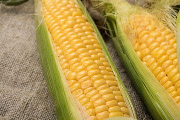 Grains of ripe corn with leaves closeup