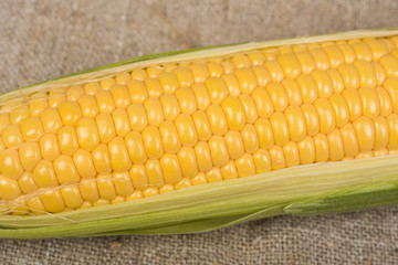 Grains of ripe corn with leaves closeup