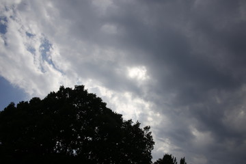 雨雲 / 突然の曇り空を撮影しました。