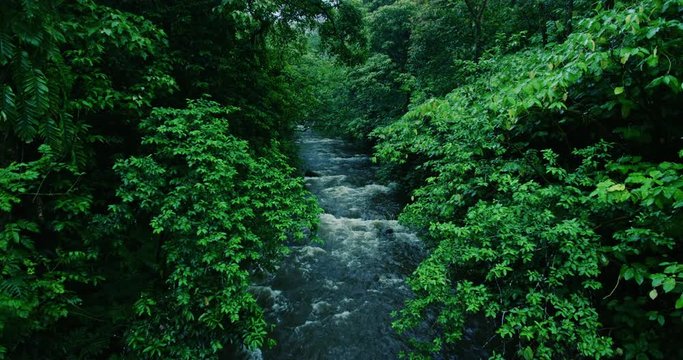 River flows through tropical rain forest jungle in Maui, Hawaii