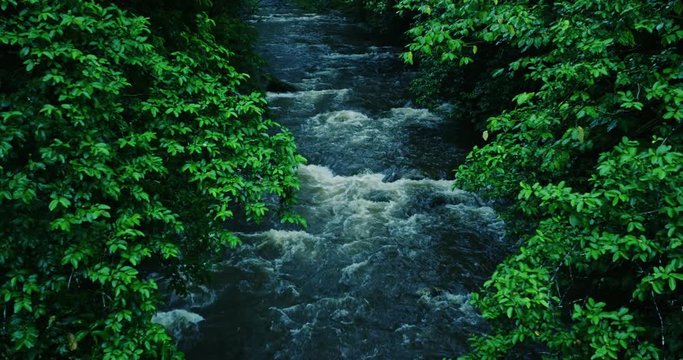 River flows through tropical rain forest jungle in Maui, Hawaii