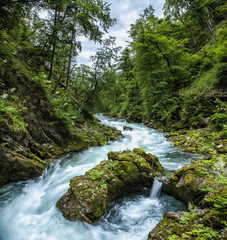 Radovna river meanders, Vintgar Gorge, Slovenia