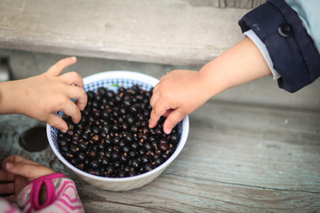 Малыши тянутся за ягодами