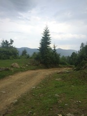 Obraz premium strada