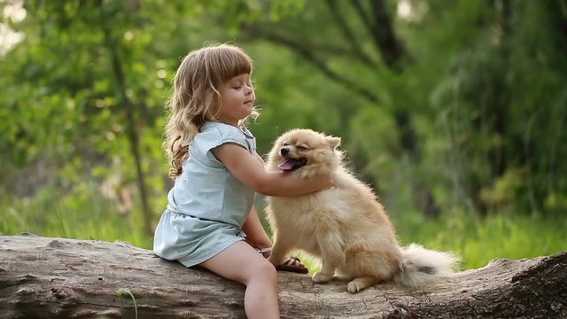 Little girl and pets. Girl hugging dog. Pedigree dogs Spitz. Cute