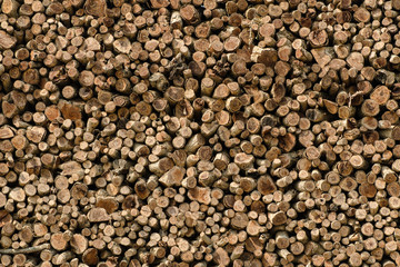 Stacked of timber logs stocked in factory