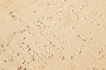 beach sand texture