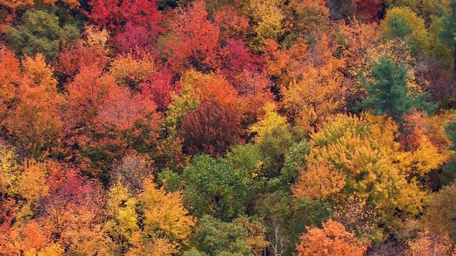 Rotating aerial view of New England autumn foliage