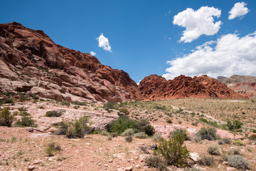 Calico Basin Red Springs at Red Rock Canyon