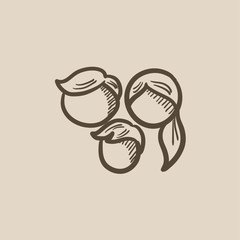 Family sketch icon.
