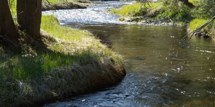 Mountain stream flowing between grassy banks, downstream view