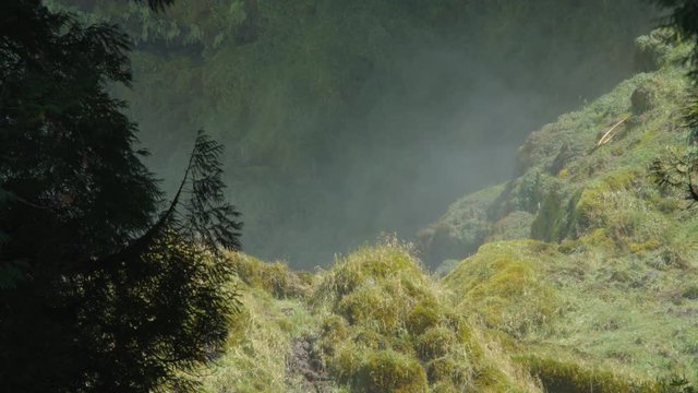 Time-lapse mist rising from an unseen waterfall below the edge of a forest cliff