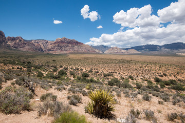 Red Rock Canyon Overlook