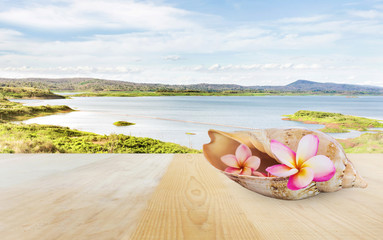 Pink flower plumeria or frangipani in sea conch shell on wooden
