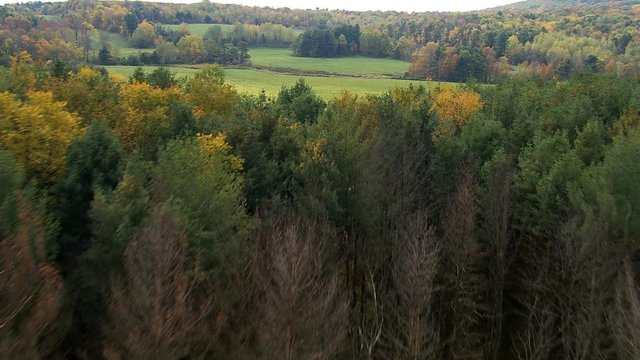 Low flight over New England fields bordered by woods