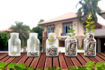 money coins grow with home