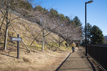 Path way up to Chureito pagoda viewpoint