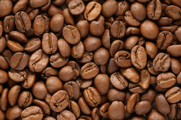 roasted coffee bean texture background