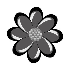 black and grey flower front view over isolated background, vector illustration 