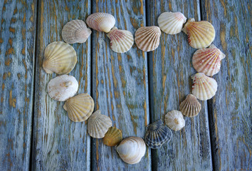 Background with heart made of seashells on blue painted wooden board
