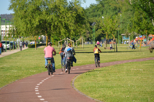 Fototapeta grupo de ciclistas circulando por un carril bici