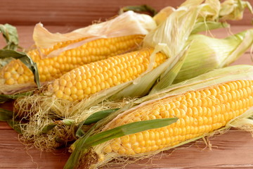 Fresh corn on the cob on a wooden table. Raw organic vegetables. Closeup
