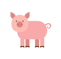 cartoon pig in flat style isolated on white background