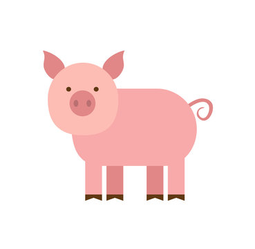 cartoon pig in flat style isolated on white background
