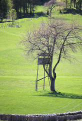 camouflaged wooden hut for hunting over a tower