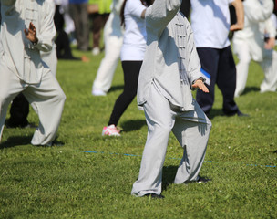 fans of martial arts with silk dress during the concentration ex